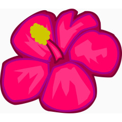 黄色花心的红色花朵