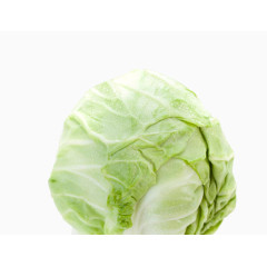 卷心菜蔬菜