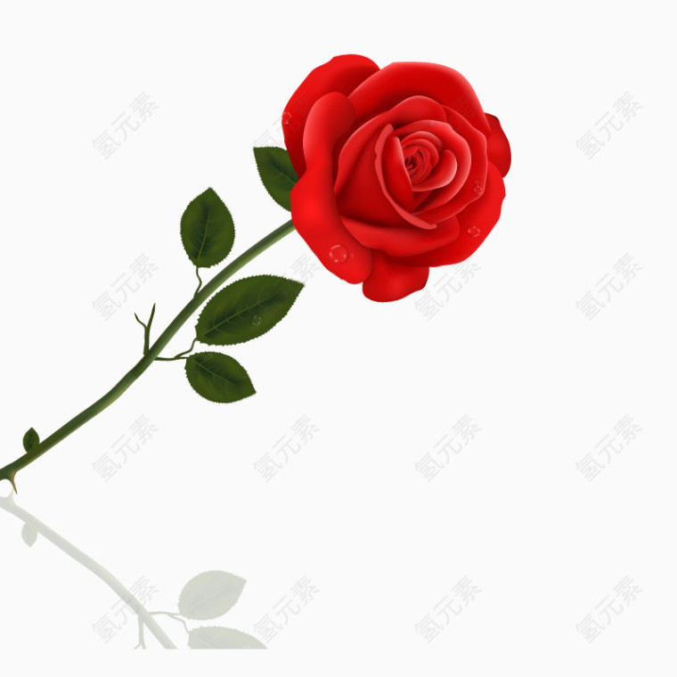 红色玫瑰花