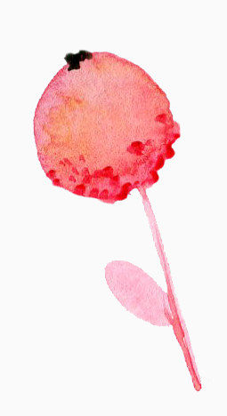 植物水彩画