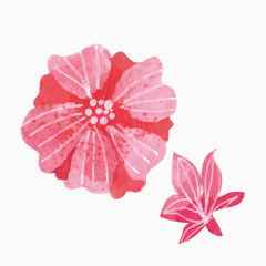 花卉 水彩 花朵 淡粉色