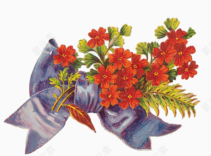 简约旧插画花红色兰花