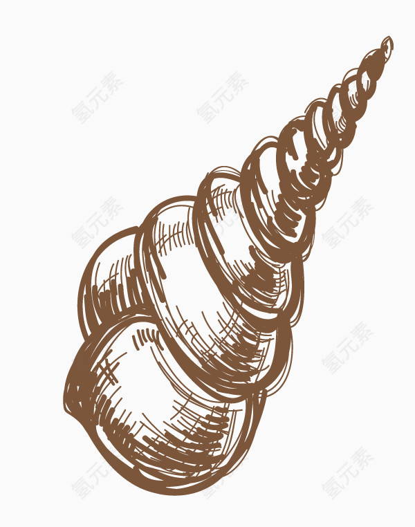简笔画贝壳