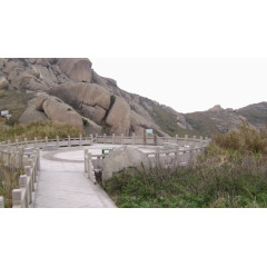 上海自然风景