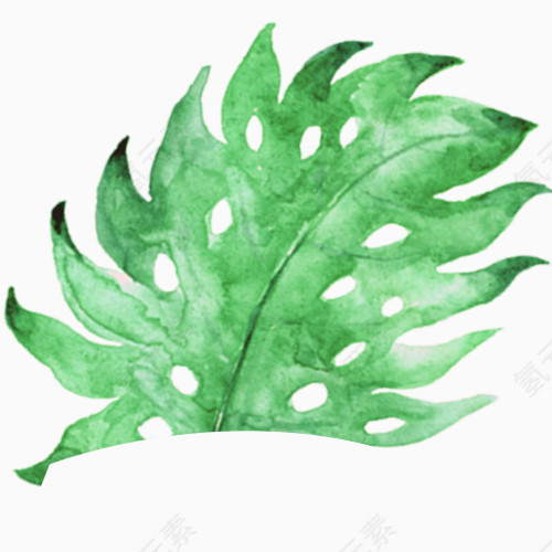手绘插画纹理树叶元素
