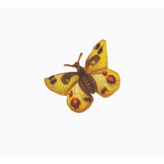 复古黄色斑点蝴蝶