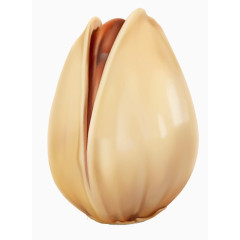 逼真手绘开心果