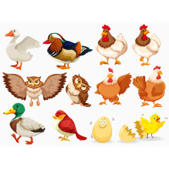 百科全书插画手绘水彩鸭子小鸡猫头鹰