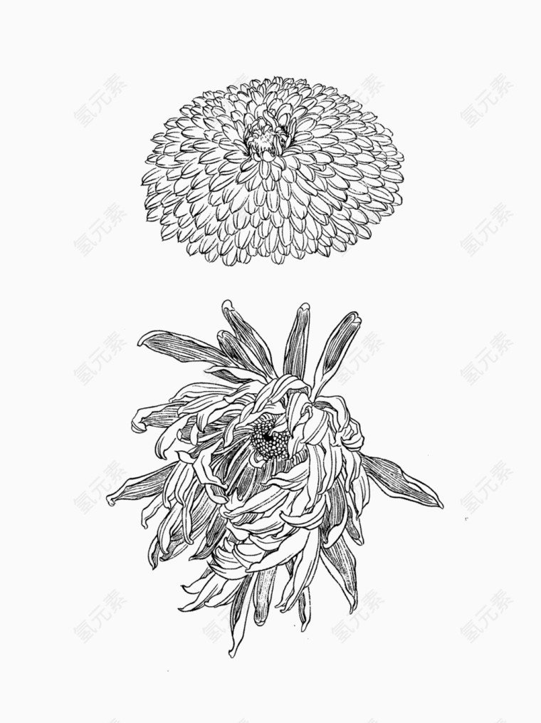 手绘花