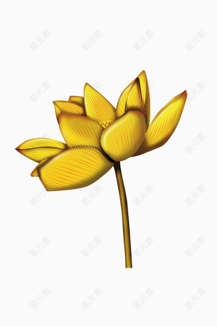 金色莲花