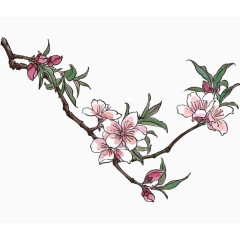手绘桃花线条
