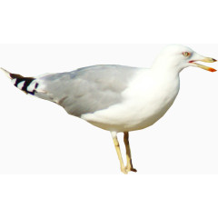 运动健身标图标