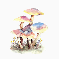 手绘蘑菇