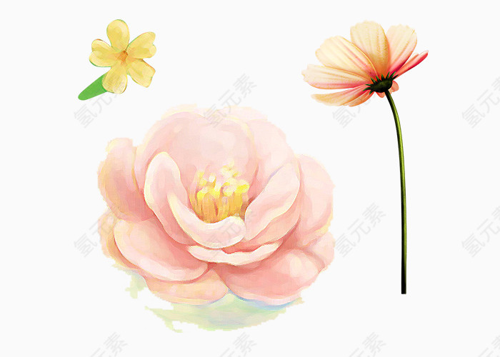 手绘花