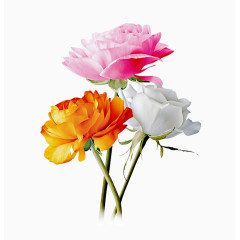 鲜花花朵装饰