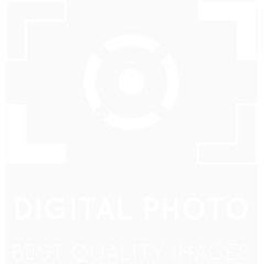 摄影工作室标签设计矢量素材