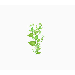 成长的小草