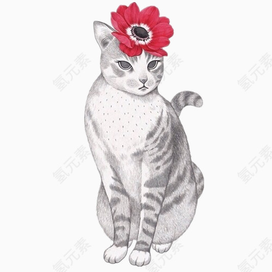 手绘小猫咪花朵