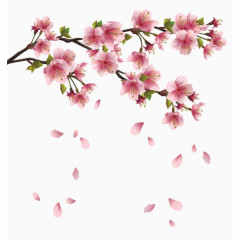 漂浮樱花