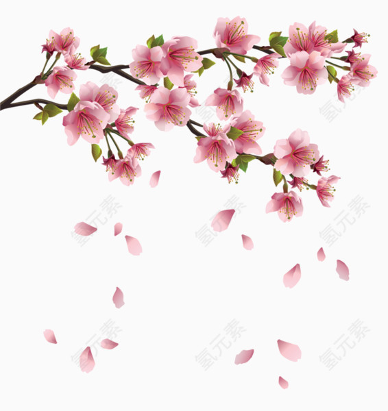 漂浮樱花