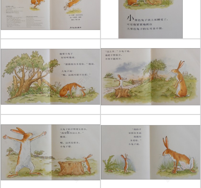 猜猜我有多爱你幼儿绘本教育课件   第2张