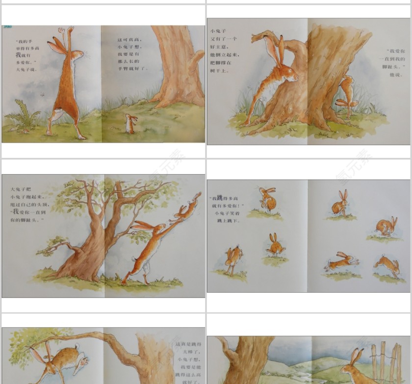 猜猜我有多爱你幼儿绘本教育课件   第3张