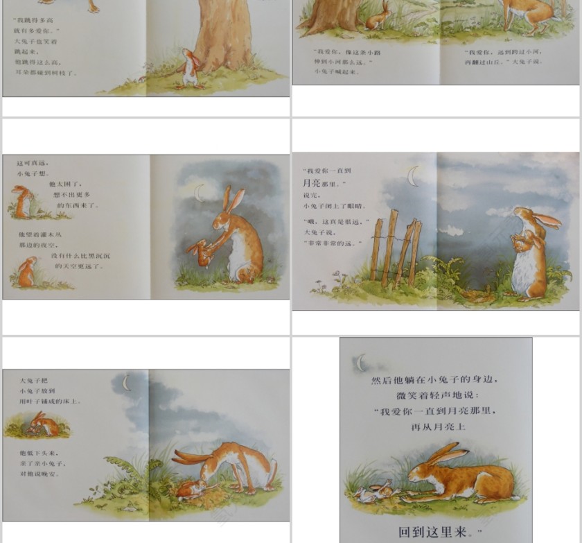 猜猜我有多爱你幼儿绘本教育课件   第4张