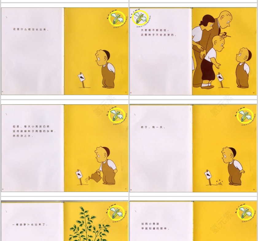 胡萝卜种子幼儿绘本教育课件 第3张