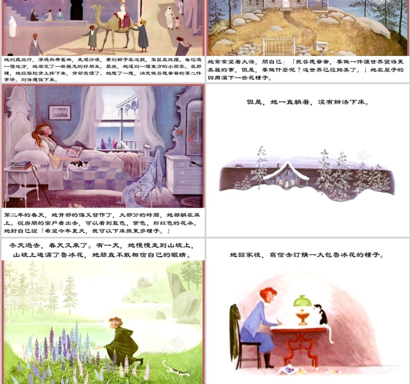 花婆婆幼儿绘本教育课件   第4张