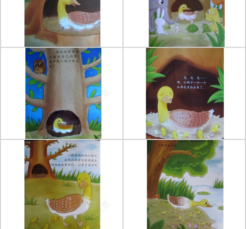 划圈儿的小小鸭幼儿绘本教育课件    第2张