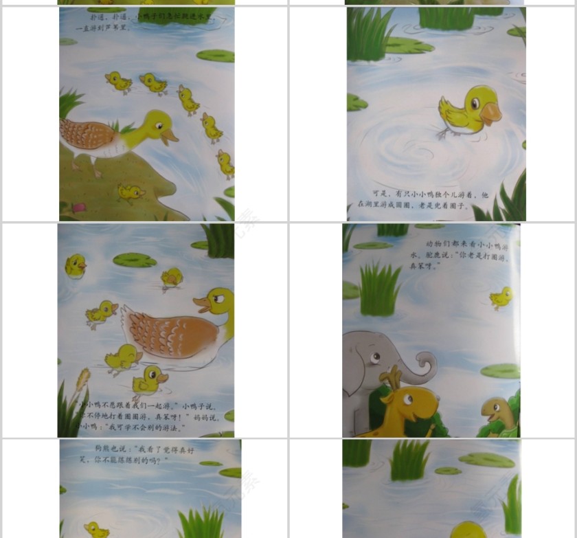 划圈儿的小小鸭幼儿绘本教育课件    第3张
