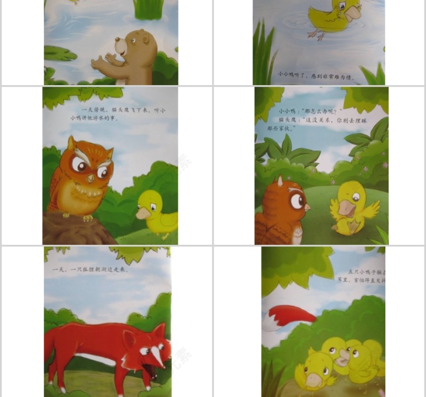 划圈儿的小小鸭幼儿绘本教育课件    第4张