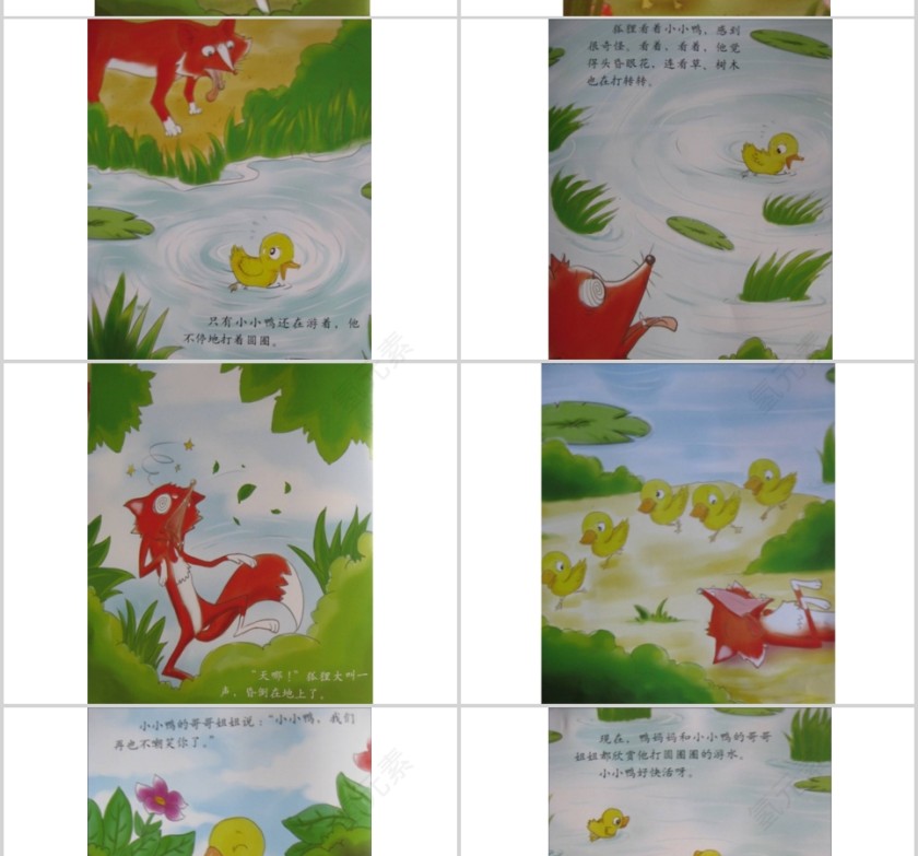 划圈儿的小小鸭幼儿绘本教育课件    第5张