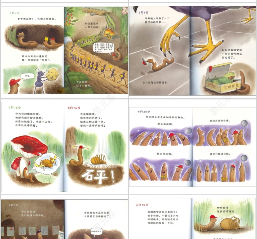 蚯蚓的日记幼儿绘本教育课件 第3张
