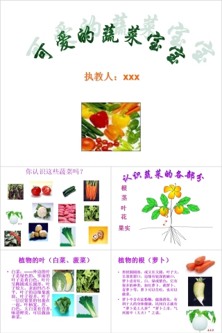 幼儿园小班优质课公开课可爱的蔬菜宝宝教学课件PPT 