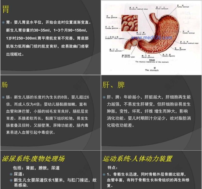 育婴师培训课件ppt第7张