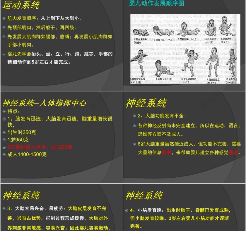 育婴师培训课件ppt第9张