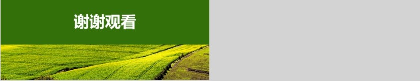 乡村振兴战略第5张