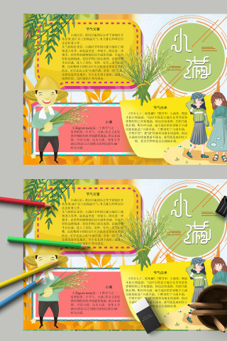 清新简约传统节气小满手抄报