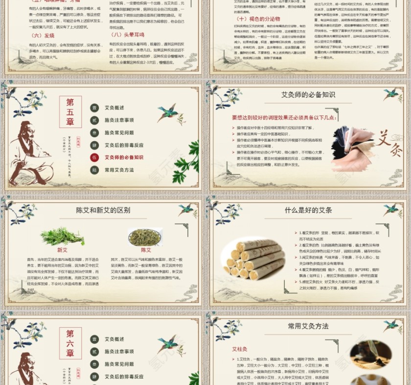 简约清新艾灸养生PPT课件第5张