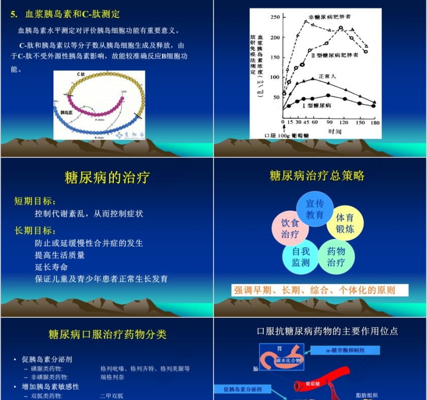 蓝色大气糖尿病的历史ppt模板第11张