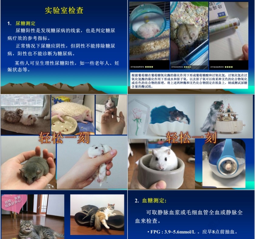 蓝色大气糖尿病的历史ppt模板第9张