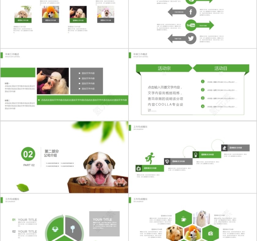 清新宠物美容店PPT模版第2张