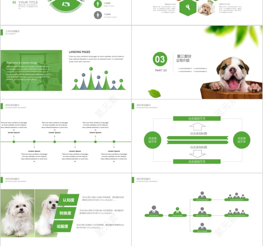 清新宠物美容店PPT模版第3张