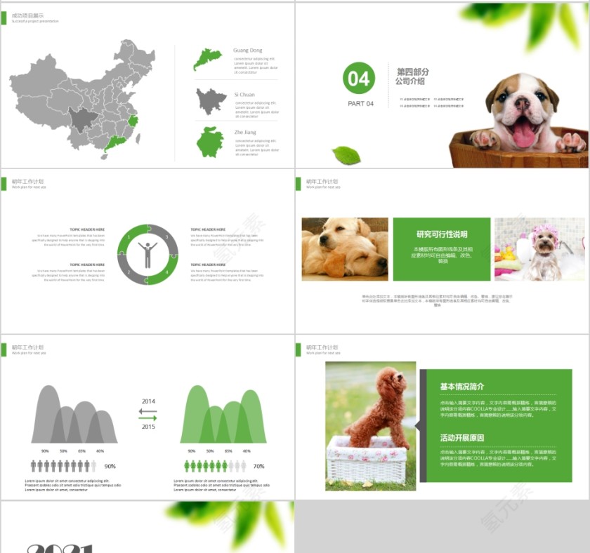 清新宠物美容店PPT模版第4张