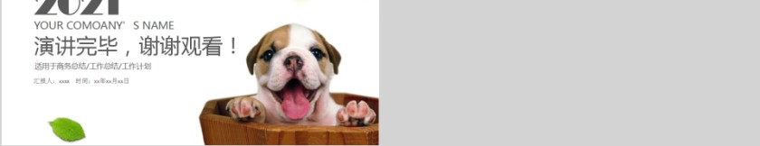 清新宠物美容店PPT模版第5张