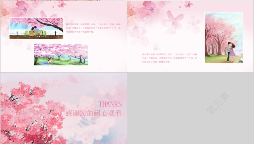 寻找樱花踪迹浪漫樱花PPT模板第4张