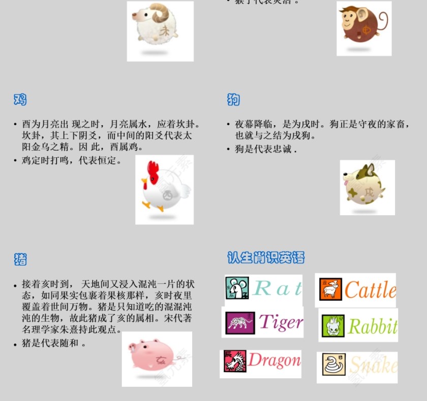 中国传统文化十二生肖12属相介绍主题班会模板第4张