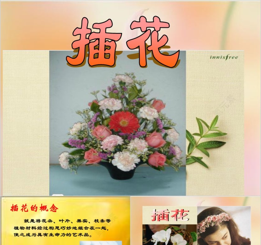 彩色简约大气艺术插花培训课件PPT第1张
