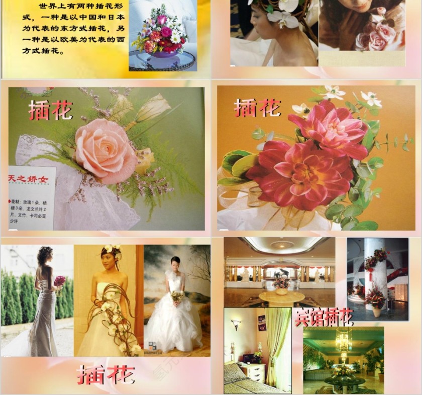 彩色简约大气艺术插花培训课件PPT第2张